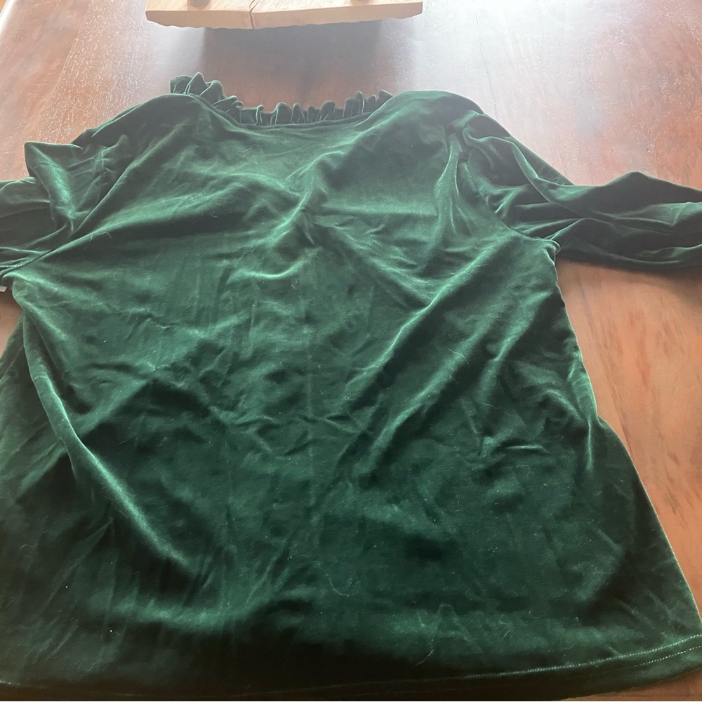 Green Casual Womens Notched Neckline Velvet Tee - Picture 4 of 5